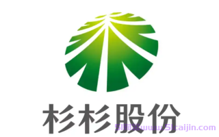 杉杉股份：业务版图与所属板块全解析