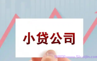 大额信用贷款哪个平台好？个人在线申请贷款30万