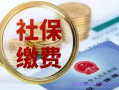 没有工作，社保怎么交最划算，怎么少交多领养老金？