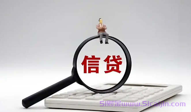 征信有问题可以借钱吗?2025黑户可以借到款的app-第1张图片-51财金