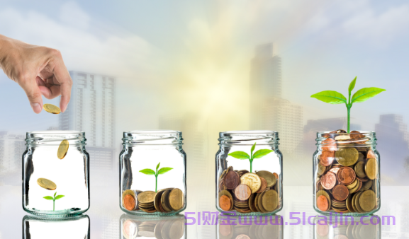 嘉信理财怎么设置中文？嘉信理财怎么入金？-第1张图片-51财金