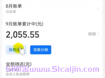 花呗提前还款在哪里?3种还款方法帮助你！-第4张图片-51财金