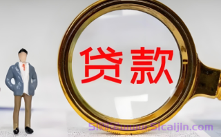 众安金融属于哪个网贷?众安金融利息借一万利息多少?