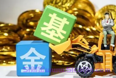 基金比率高好还是低好？-第1张图片-51财金