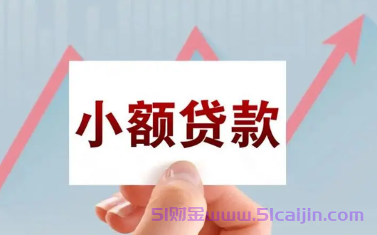 没钱如何快速还清网贷的钱?3个建议可以参考-第1张图片-51财金