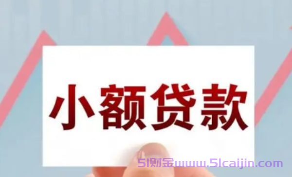 急用钱哪里可以借2000块钱?可一小时借2000的网贷有哪些?-第1张图片-51财金