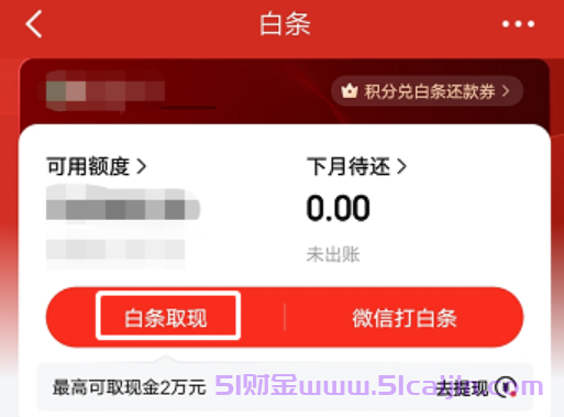 京东白条取现怎么取？白条取现金最佳方法介绍-第2张图片-51财金