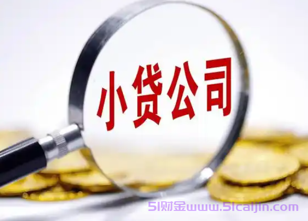 真实下款应急的贷款有哪些?有什么必定下款的贷款软件?-第1张图片-51财金