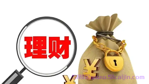 建行理财白金卡全解析：是储蓄卡吗？年费情况如何？-第1张图片-51财金