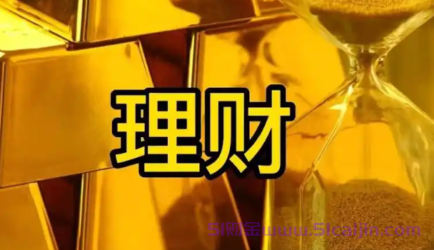 ipo是什么意思啊?ipo和上市有什么区别?-第1张图片-51财金