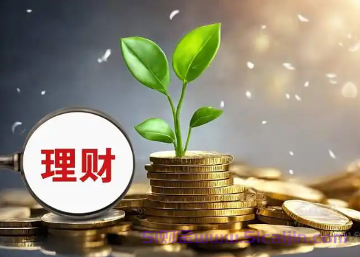 领峰贵金属平台正规吗安全吗?-第1张图片-51财金